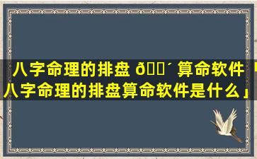 八字命理的排盘 🌴 算命软件「八字命理的排盘算命软件是什么」